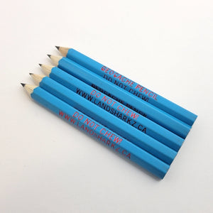 Five pack of geocache pencils