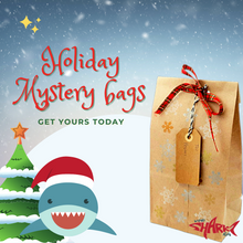 Geocacher's Holiday Mystery Bag