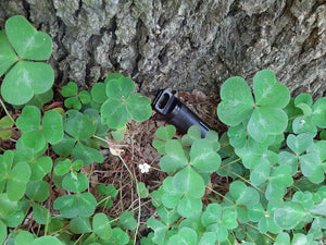 Black geocache hidden in clovers