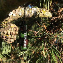 Camo micro geocache container hanging from a branch in a pine tree.