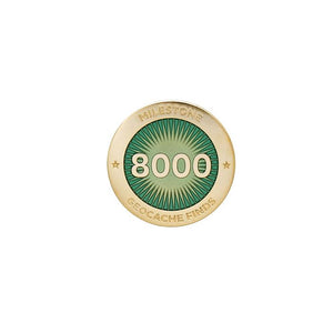 Gold pin for 8000 finds in turquoise 