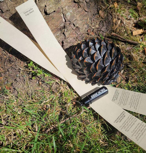 Fake Pine Cone Cache