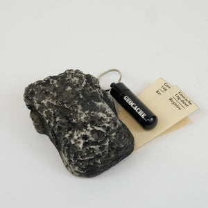 Plastic fake rock geocache with micro cache and Rite in the Rain logsheets