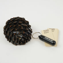 Half of a pinecone with a flat bottom where you hide a micro cache, also pictured here with log sheets