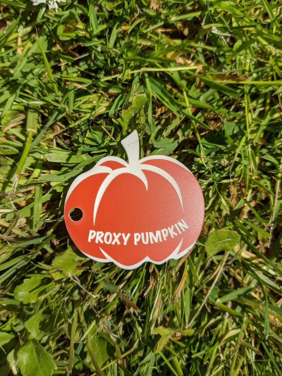 Proxy Tag Proxy Tags – Landsharkz
